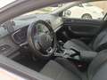 Renault Megane Sporter+1.5+blue+dci+Business+115cv Bianco - thumbnail 1