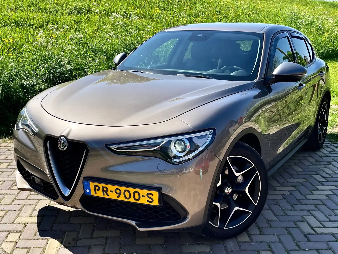 Alfa Romeo Stelvio Stelvio 2.0 T AWD Bronce - 1