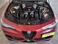 Alfa Romeo Giulia 2.9 T V6 Quadrifoglio rosso tristrato/ iva esposta Rot - thumbnail 7