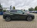 Lexus UX 300e UX 300h F Sport Design ACC+LED+Navi+SHZ+LM Grün - thumbnail 14