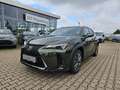Lexus UX 300e UX 300h F Sport Design ACC+LED+Navi+SHZ+LM Grün - thumbnail 3