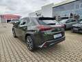 Lexus UX 300e UX 300h F Sport Design ACC+LED+Navi+SHZ+LM Grün - thumbnail 8