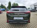 Lexus UX 300e UX 300h F Sport Design ACC+LED+Navi+SHZ+LM Grün - thumbnail 9