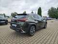 Lexus UX 300e UX 300h F Sport Design ACC+LED+Navi+SHZ+LM Grün - thumbnail 13