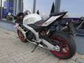 Aprilia RSV4 1100 Factory - TOP - Speed White - thumbnail 8