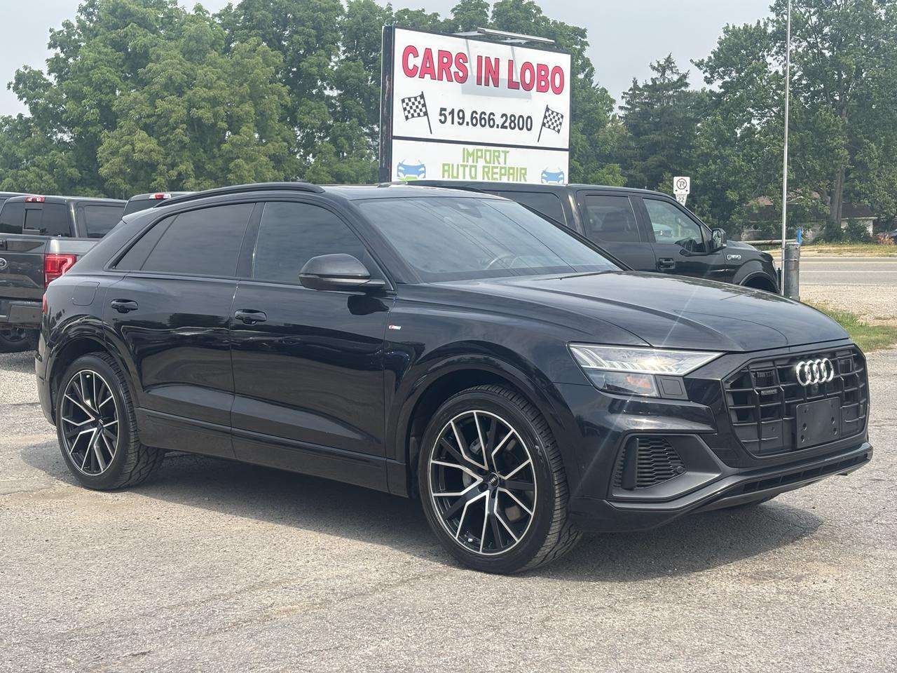 2019 Audi Q8 Technik 55 TFSI quattro