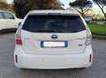 Toyota Prius+ Prius  III 2012 1.8h Active ecvt Bianco - thumbnail 2