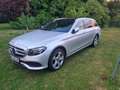 Mercedes-Benz E 350 E 350 d 4Matic (213.234) Grau - thumbnail 7