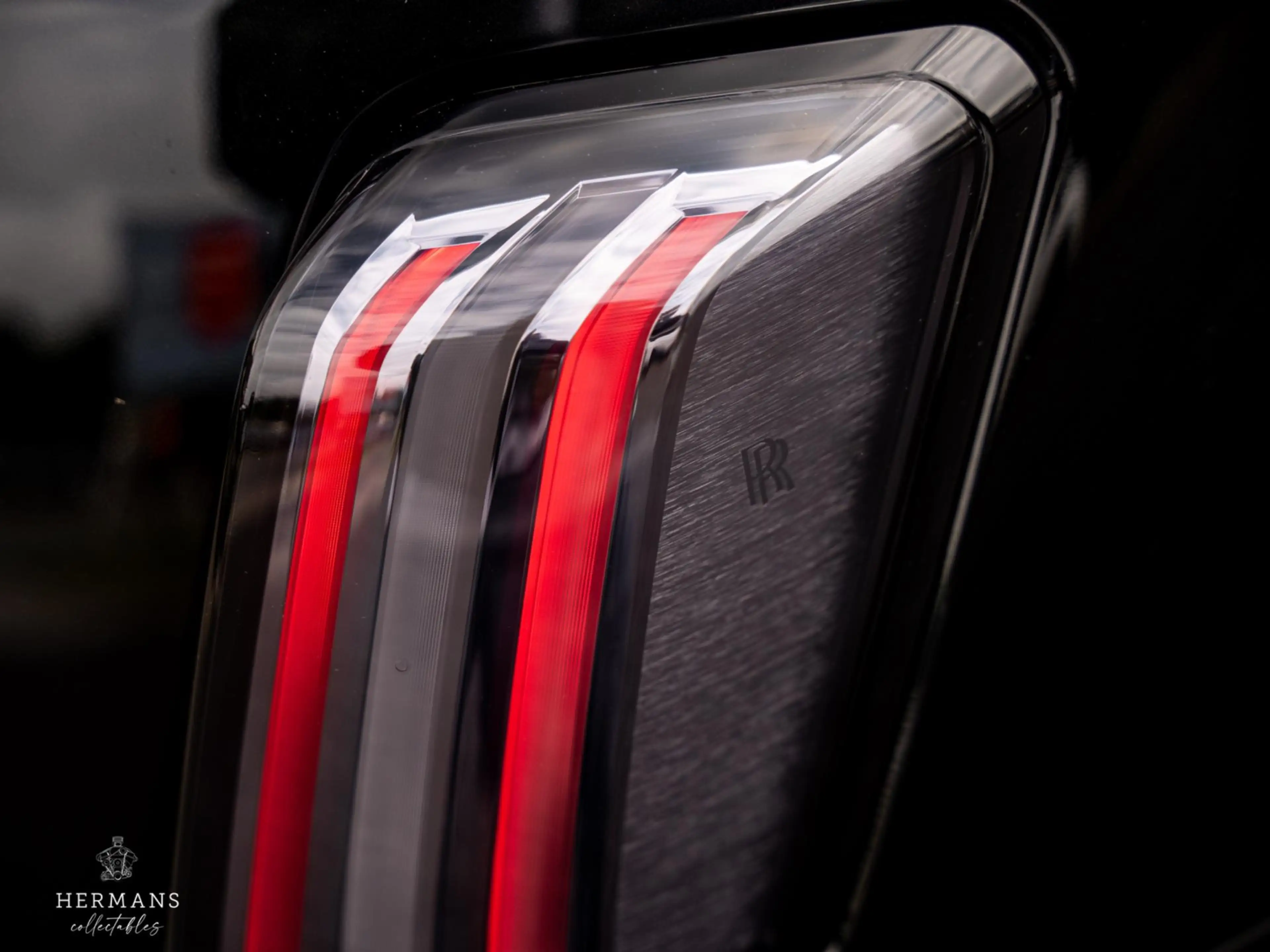 Rolls-Royce Spectre / Bespoke / PPF / Pinstripe / Starlight / Org. NL — photo 13
