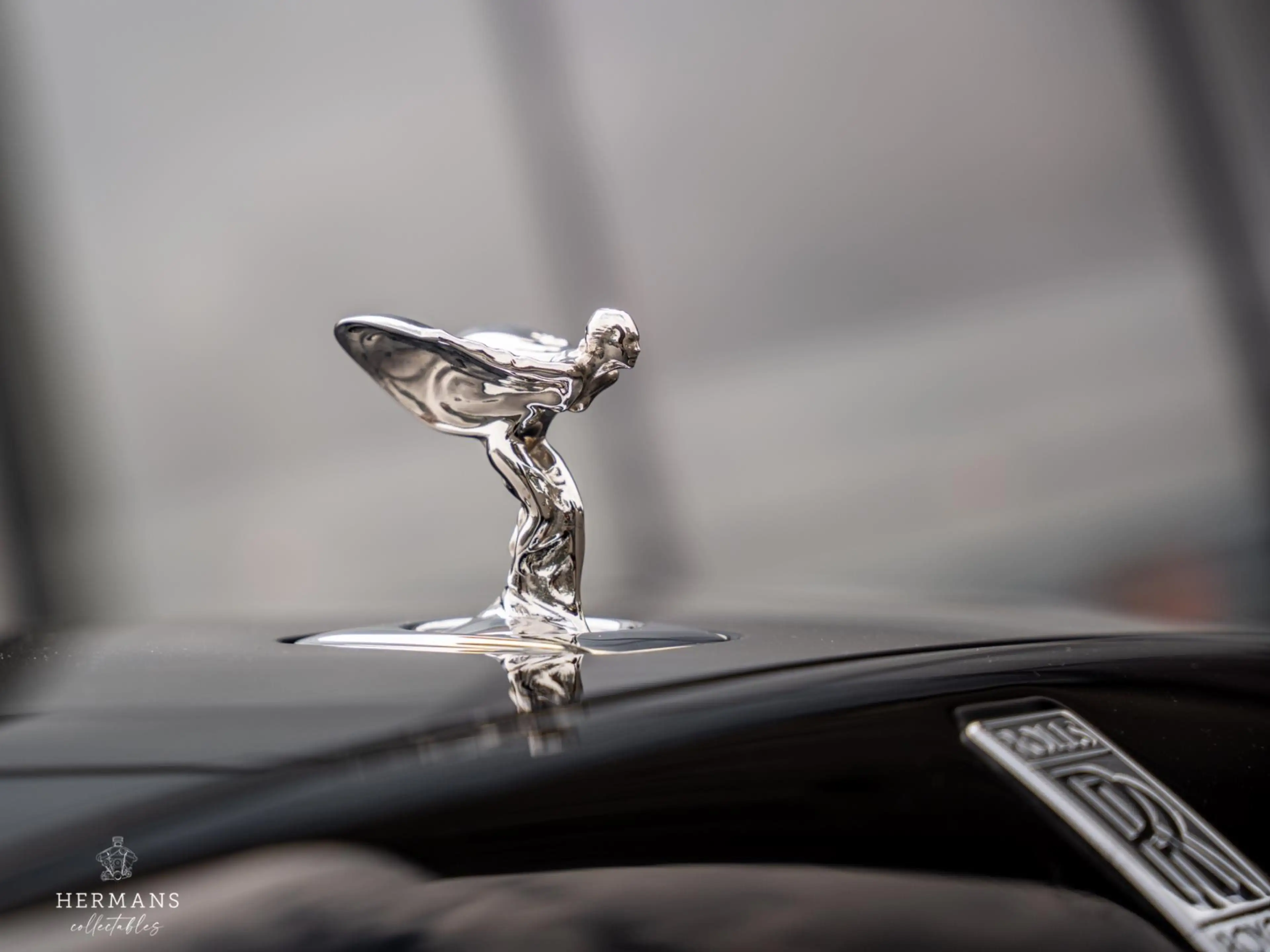 Rolls-Royce Spectre / Bespoke / PPF / Pinstripe / Starlight / Org. NL — photo 3