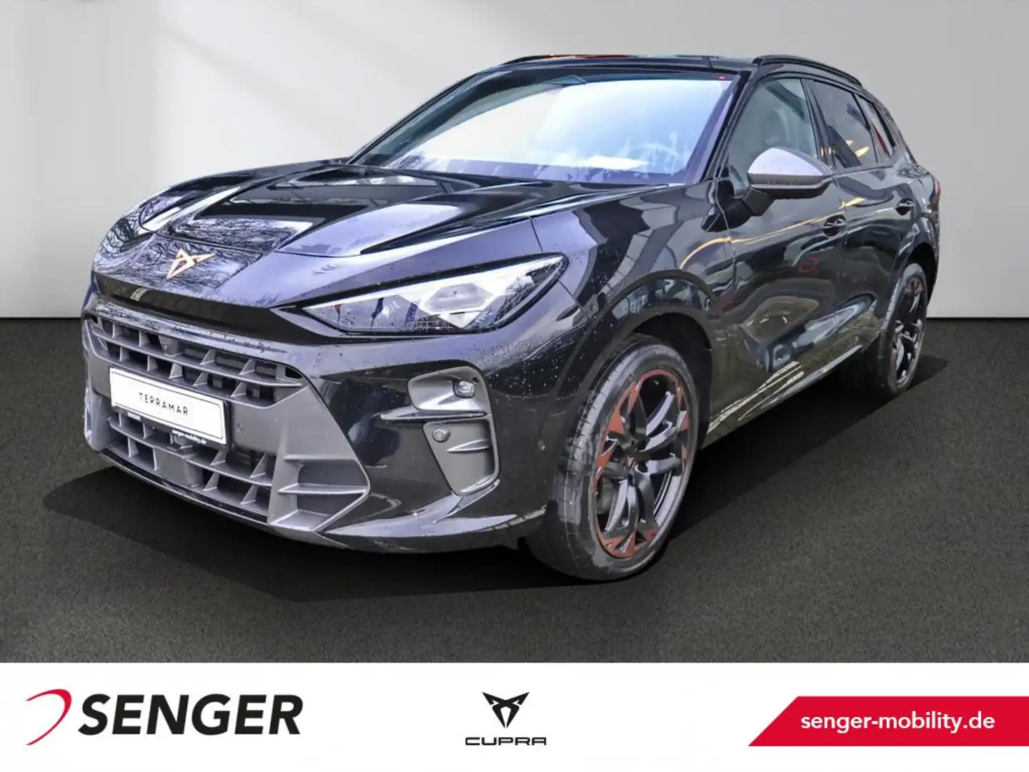 CUPRA Terramar 2.0 TSI 4D VZ HD-Matrix Sennheiser AHK Noir - 1