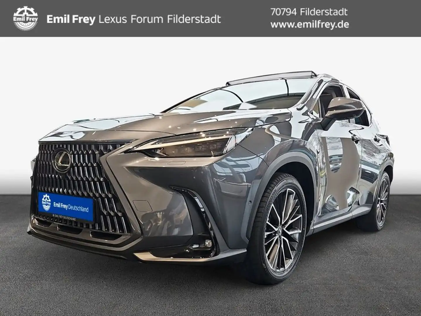 Lexus NX350h 4x4 Luxury Line + Panorama Modell2025 NX350 Grau - 1