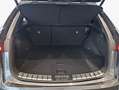 Lexus NX350h 4x4 Luxury Line + Panorama Modell2025 NX350 Grau - thumbnail 5