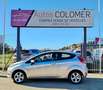 Ford Fiesta 1.4TDCI Ambiente Gris - thumbnail 12