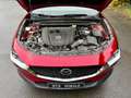 Mazda CX-3 Selection 2WD Rot - thumbnail 16