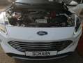 Ford Kuga Titanium,AHK,SSD,Standheitzung,Garantie,TOP Weiß - thumbnail 21