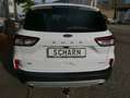 Ford Kuga Titanium,AHK,SSD,Standheitzung,Garantie,TOP Weiß - thumbnail 5