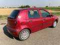 Fiat Punto Punto 5p 1.2 Active Gpl Rosso - thumbnail 6