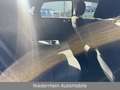 Kia Ceed Vision SH+Scheckheft+NW Garantie 07/2027 Schwarz - thumbnail 6