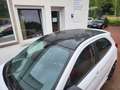 Ford Ka/Ka+ Ka+ 1.2 Black-Edition - 1.Hand Weiß - thumbnail 16