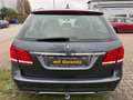 Mercedes-Benz E 350 E T-Modell E 350 BlueTec 4Matic Grau - thumbnail 5