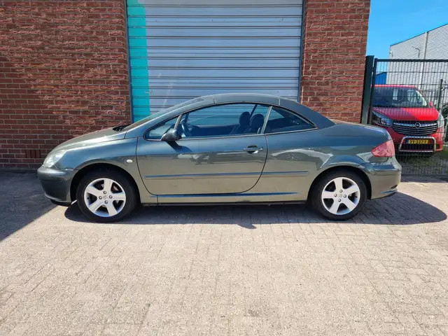 Peugeot 307 view 28
