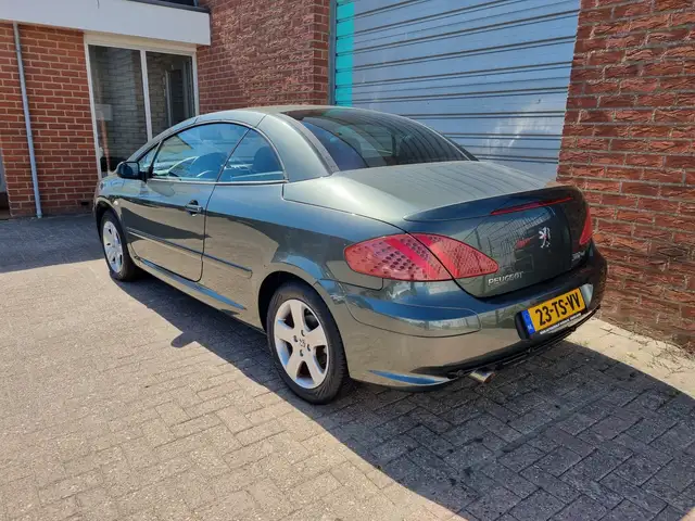 Peugeot 307 view 27