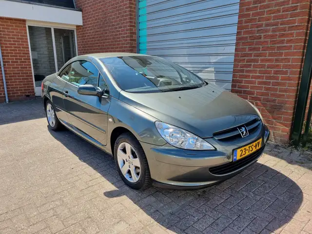 Peugeot 307 CC view 13