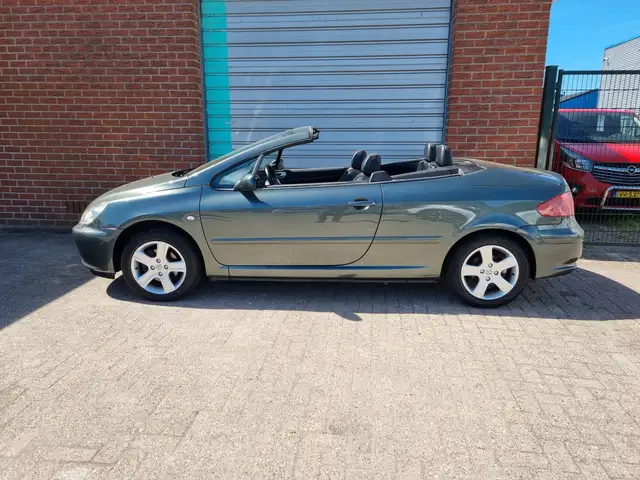 Peugeot 307 CC view 9