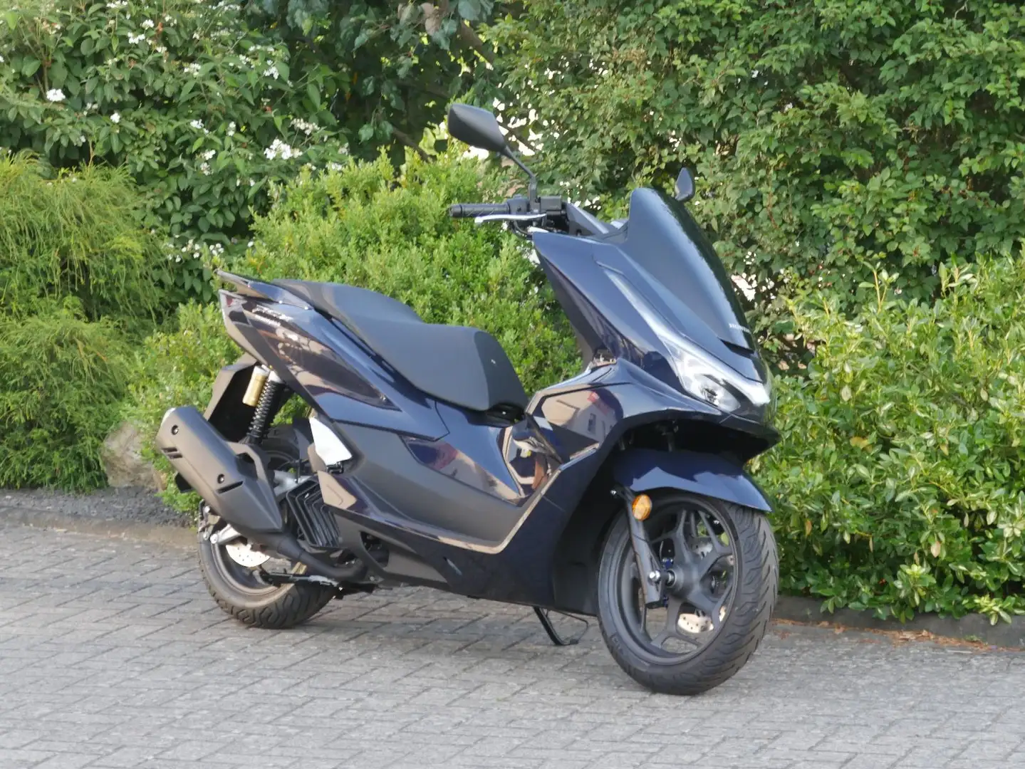 Honda PCX 125 Mod. 2025 "Deal-Days" 300€ sparen Bleu - 1