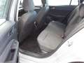 Volkswagen Golf Variant Golf VIII Variant 2.0 TDI Life Navi LED DAB+ Fro Grau - thumbnail 6