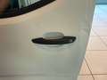 Toyota Proace Proace 1.5D 100CV S&S PL-TN Furgone Short 4p. 10q Bianco - thumbnail 11