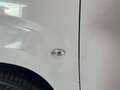 Toyota Proace Proace 1.5D 100CV S&S PL-TN Furgone Short 4p. 10q Bianco - thumbnail 12