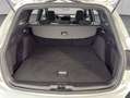 Ford Focus Turnier EcoBoost Hybrid Aut. ST-LINE AHK+PAN Silber - thumbnail 6