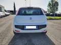 Fiat Punto Evo 5 porte 1.3mjt Dynamic 75cv (per neopatentati) White - thumbnail 5