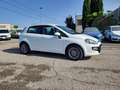 Fiat Punto Evo 5 porte 1.3mjt Dynamic 75cv (per neopatentati) White - thumbnail 3