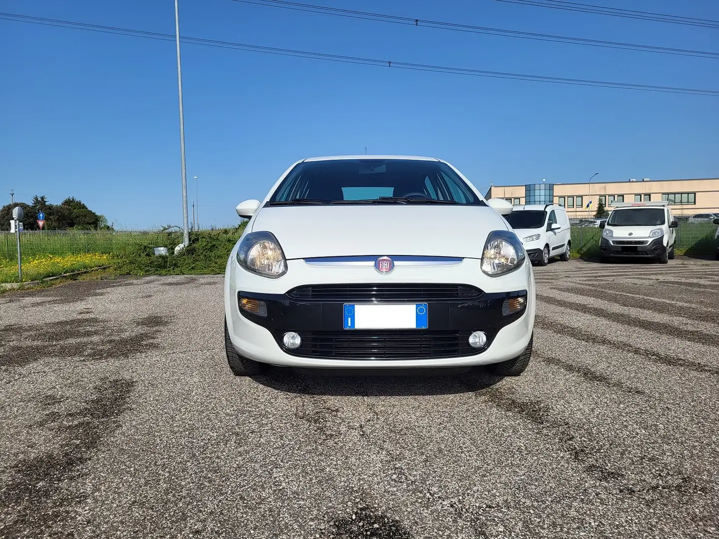 Fiat Punto Evo 5 porte 1.3mjt Dynamic 75cv (per neopatentati) White - 2