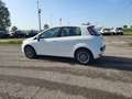 Fiat Punto Evo 5 porte 1.3mjt Dynamic 75cv (per neopatentati) White - thumbnail 6