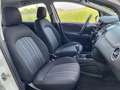 Fiat Punto Evo 5 porte 1.3mjt Dynamic 75cv (per neopatentati) White - thumbnail 13