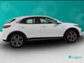 Kia XCeed 1.0 T-GDI Style Weiß - thumbnail 6