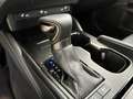 Lexus ES 300 300h Premium Grau - thumbnail 10