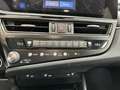 Lexus ES 300 300h Premium Grau - thumbnail 11