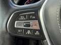 BMW X5 X5  xdrive40i SERVICE IN BMW Grigio - thumbnail 13