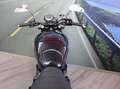 Triumph Bonneville T100 SE - 2014 - KM 19367 Negro - thumbnail 20