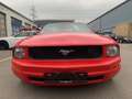 Ford Mustang Cabrio 4.0 Liter V6 Rot - thumbnail 18