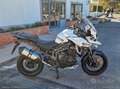 Triumph Tiger 1200 Tiger 1200 XCA EXPLORER RATE AUTO MOTO SCOOTER Blanco - thumbnail 6