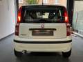 Fiat Panda 1.2i - Euro5 - Garantie 12mois Blanc - thumbnail 6