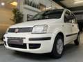 Fiat Panda 1.2i - Euro5 - Garantie 12mois Blanc - thumbnail 4