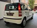 Fiat Panda 1.2i - Euro5 - Garantie 12mois Blanc - thumbnail 5