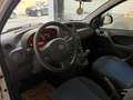 Fiat Panda 1.2i - Euro5 - Garantie 12mois Blanc - thumbnail 15